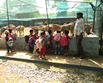 Pearl Kids